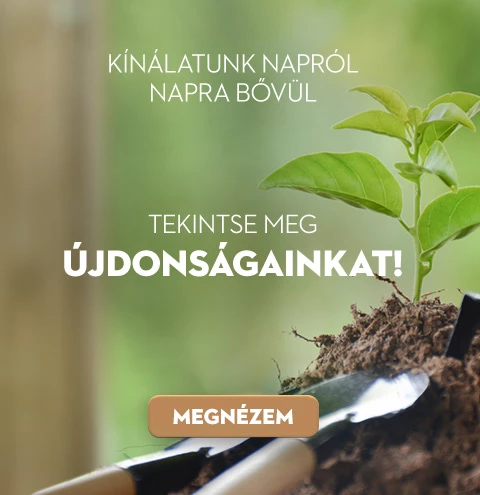 Újdonságaink