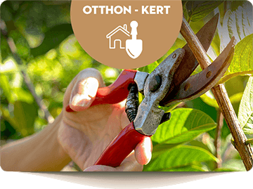 Otthon - kert - háztartás